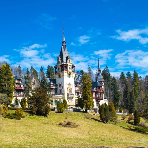 Krásná bývalá královská peles hrad, sinaia, Rumunsko — Stock fotografie