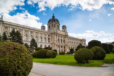 Naturhistorisches Müzesi, Doğal Tarih Müzesi Viyana, Avusturya