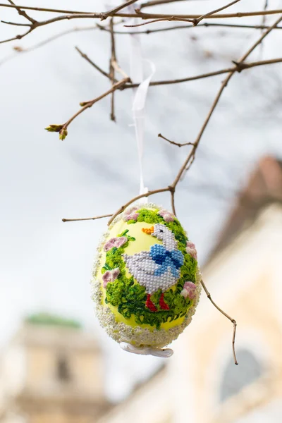 Colorful painted Easter egg on the tree — Stock Photo, Image