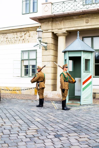 Seremonia vartijoiden vaihtamiseksi presidentin palatsin lähellä Budapestissa, Unkarissa . — kuvapankkivalokuva