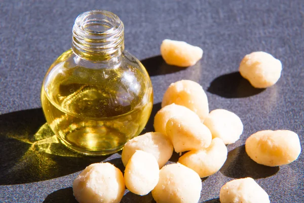 Macadamia oil in the bottle and nuts — Stock Photo, Image
