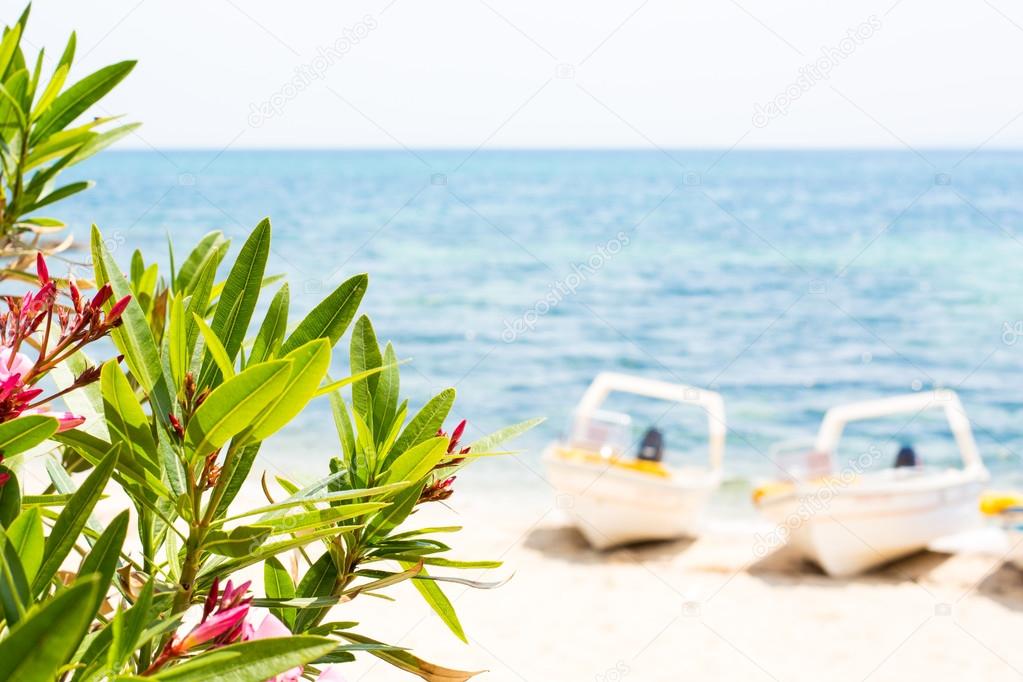 Pink oleander leafs, blue sea and boats summer background