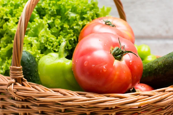Sayuran segar dalam keranjang. Tomat, mentimun, lada dan selada — Stok Foto