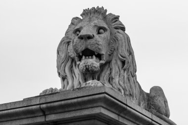 Aslan heykeli Chain bridge, Budapeşte, Macaristan, kapatmak
