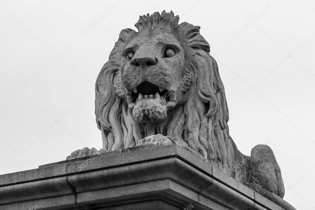 Close up lion statue at  the Chain bridge, Budapest, Hungary