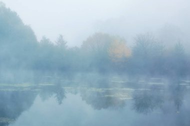 Güz ağaçları, orman silueti, göllü ve sisli arka plan.