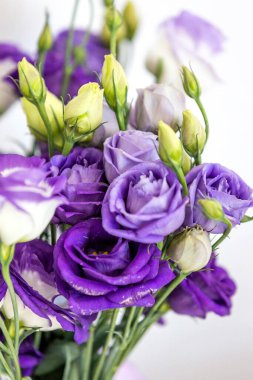 Beyaz arkaplanda mor gül buketi