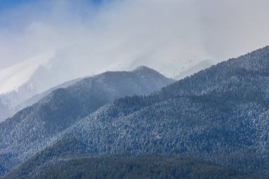 Karlar, sisli kış atmosferinde orman yamaçlarıyla kaplı dağları kapladı.