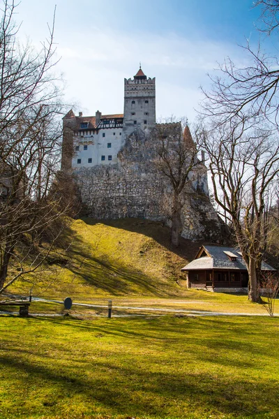 Widok z podwórku zamek Bran, Romania, znana opowieść o Drakuli — Zdjęcie stockowe