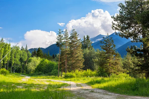 Weg im Wald. Berge, Wolken und grüne Bäume im Sommer — Stockfoto