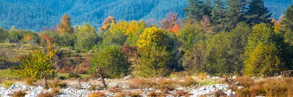 Lebendige Herbst-Panorama-Hintergrund mit bunten grünen, roten und gelben Bäumen — Stockfoto