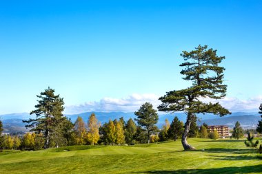 Renkli yeşil ve sarı sonbahar ağaçlar, çim sahası, mavi gökyüzü ile canlı doğa arka plan
