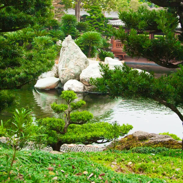 Stone in the lake, bonsai trees. Chinese or japanese garden background — Stock Photo, Image