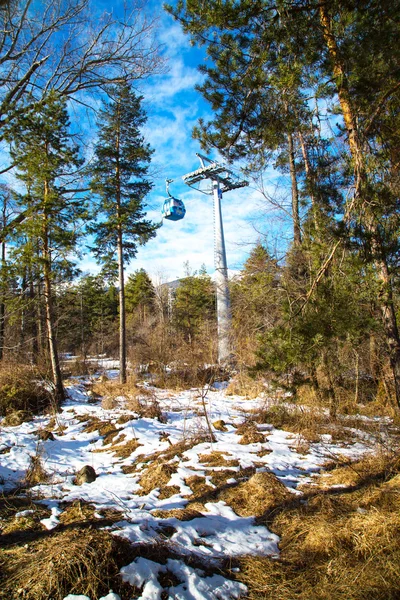 Bansko felvonó kabin, Bulgária, hó- és fenyő fa — Stock Fotó
