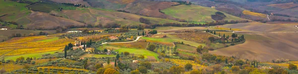 Vibrant autumn Tuscany panoramic landscape with houses, fields, cypress, vineyards — Stock Photo, Image