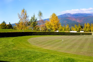 Renkli yeşil, sarı sonbahar ağaçlar, golf çim alan ve bayrakları ile canlı doğa arka plan