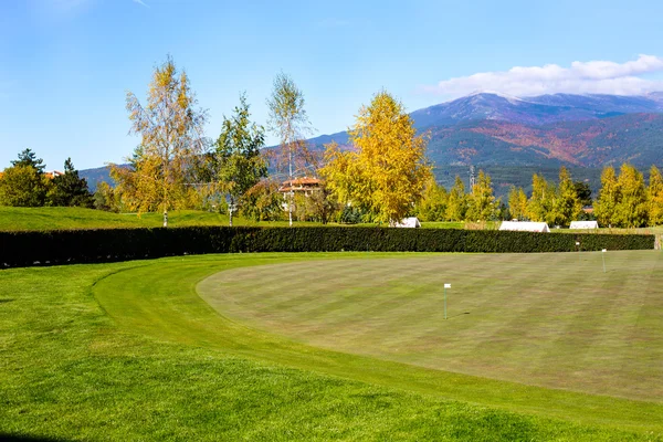 Renkli yeşil, sarı sonbahar ağaçlar, golf çim alan ve bayrakları ile canlı doğa arka plan