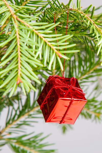 Christmas or New Year Background with green christmas tree branch, vibrant red color box — Stock Photo, Image