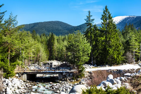 Hintergrund mit Holzbrücke, Fluss, Schneebergen, grünen Bäumen — Stockfoto