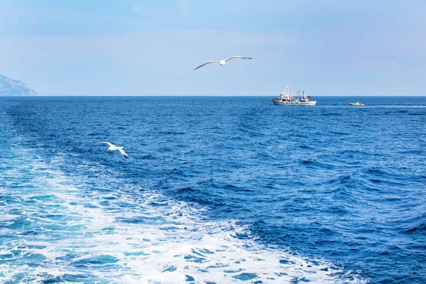 Fondo de vacaciones de viaje con vista al mar azul, gaviota y barco — Foto de Stock