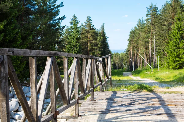 Cesta v lese. Starý dřevěný most, zelené stromy, léto — Stock fotografie