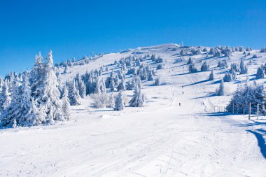 Kayak, yamaç canlı Panoraması Kopaonik, Sırbistan, insanlar Kayak tesisi, ağaçlar, mavi gökyüzü kar