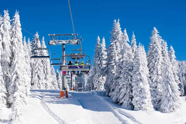 Vibrant active people winter image with skiers on ski lift, snow pine trees, blue sky — Stock Photo, Image