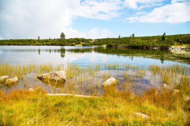 Çim, ağaçlar ve mavi bulutlu gökyüzü ile güzel Gölü Panoraması