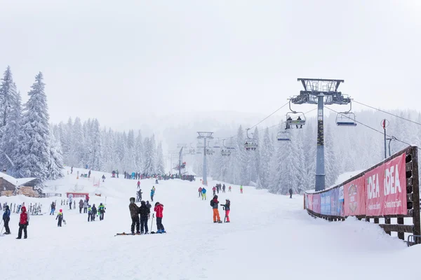 Ski resort Kopaonik, Sırbistan, kayakçı, lift, çam ağaçları Panoraması — Stok fotoğraf