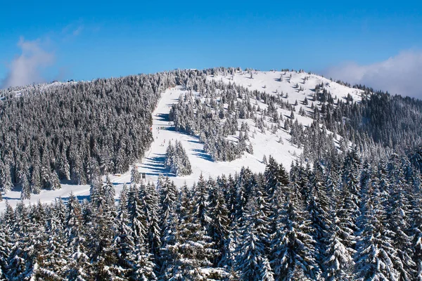 Живая воздушная панорама склона на горнолыжном курорте, катание на лыжах, снежные деревья, голубое небо — стоковое фото