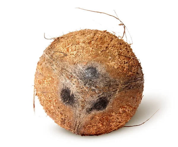 Kokosový pohled shora — Stock fotografie