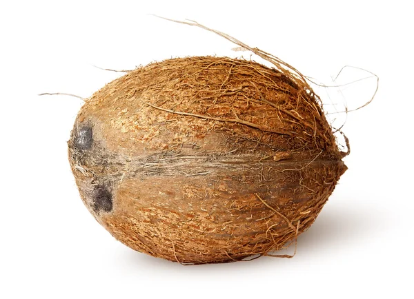 Kokosnoot horizontaal liggend — Stockfoto