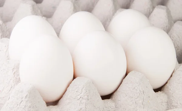 Seis ovos brancos na bandeja — Fotografia de Stock