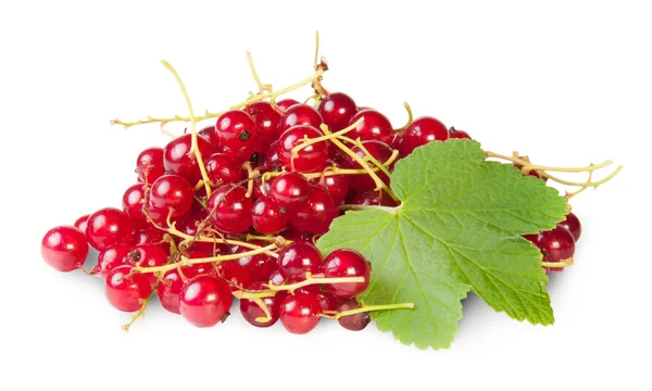 Bunch of Red Currants with Currant Leaves — Stok Foto