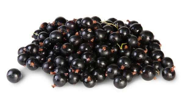 Ribes nero fresco ruotato — Foto Stock