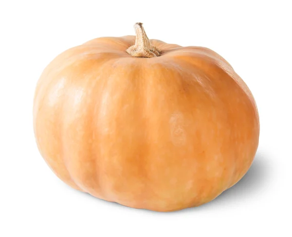 Single Orange Pumpkin — Stock Photo, Image