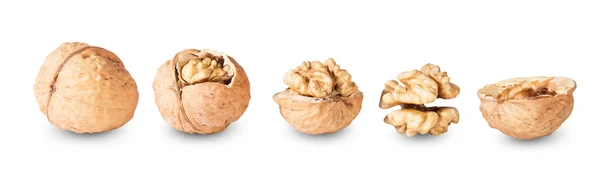 Several Nuts Lying In A Row — Stock Photo, Image