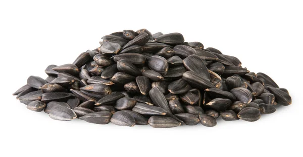 Pile Of Sunflower Seeds — Stock Photo, Image