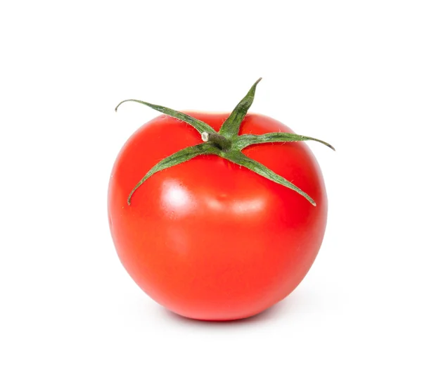 One Fresh Red Tomato Stock Picture