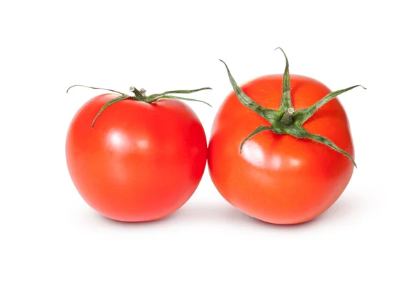 Два свежих красных помидора — стоковое фото