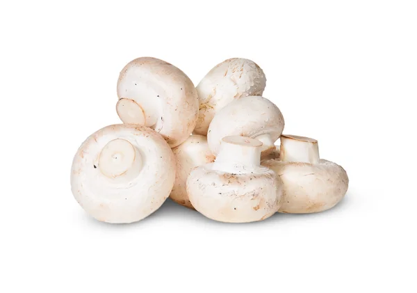 Mucchio di funghi — Foto Stock