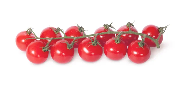 Cherry tomaten op de stengel — Stockfoto