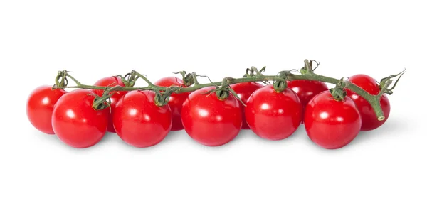 Na frente tomates cereja no caule — Fotografia de Stock