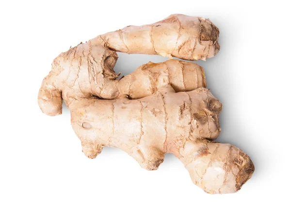 Entire ginger root top view — Stock Photo, Image