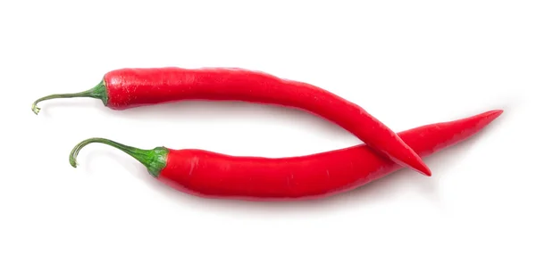 Two red chili peppers crossed — Stock Photo, Image