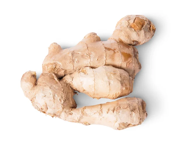 Entire ginger root top view reverse — Stock Photo, Image