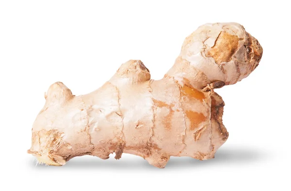 Half ginger root — Stock Photo, Image