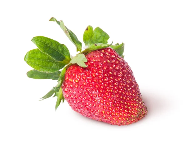 Single freshly strawberries — Stock Photo, Image