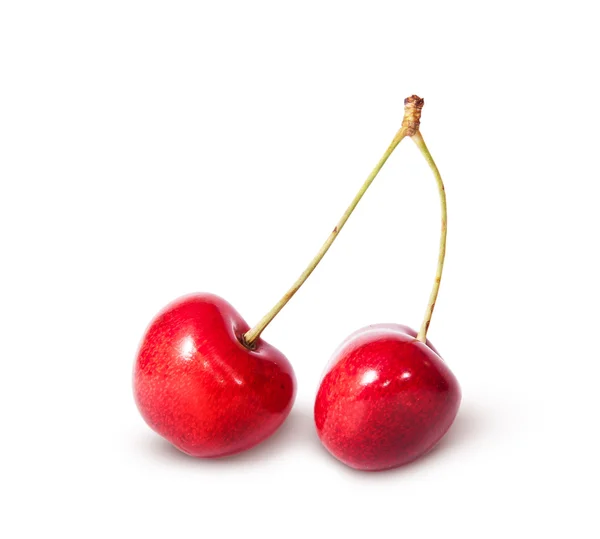 Dos cerezas dulces jugosas rojas desplegadas — Foto de Stock