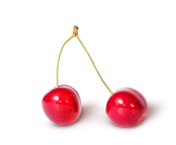 Dos cerezas dulces jugosas rojas inclinadas — Foto de Stock